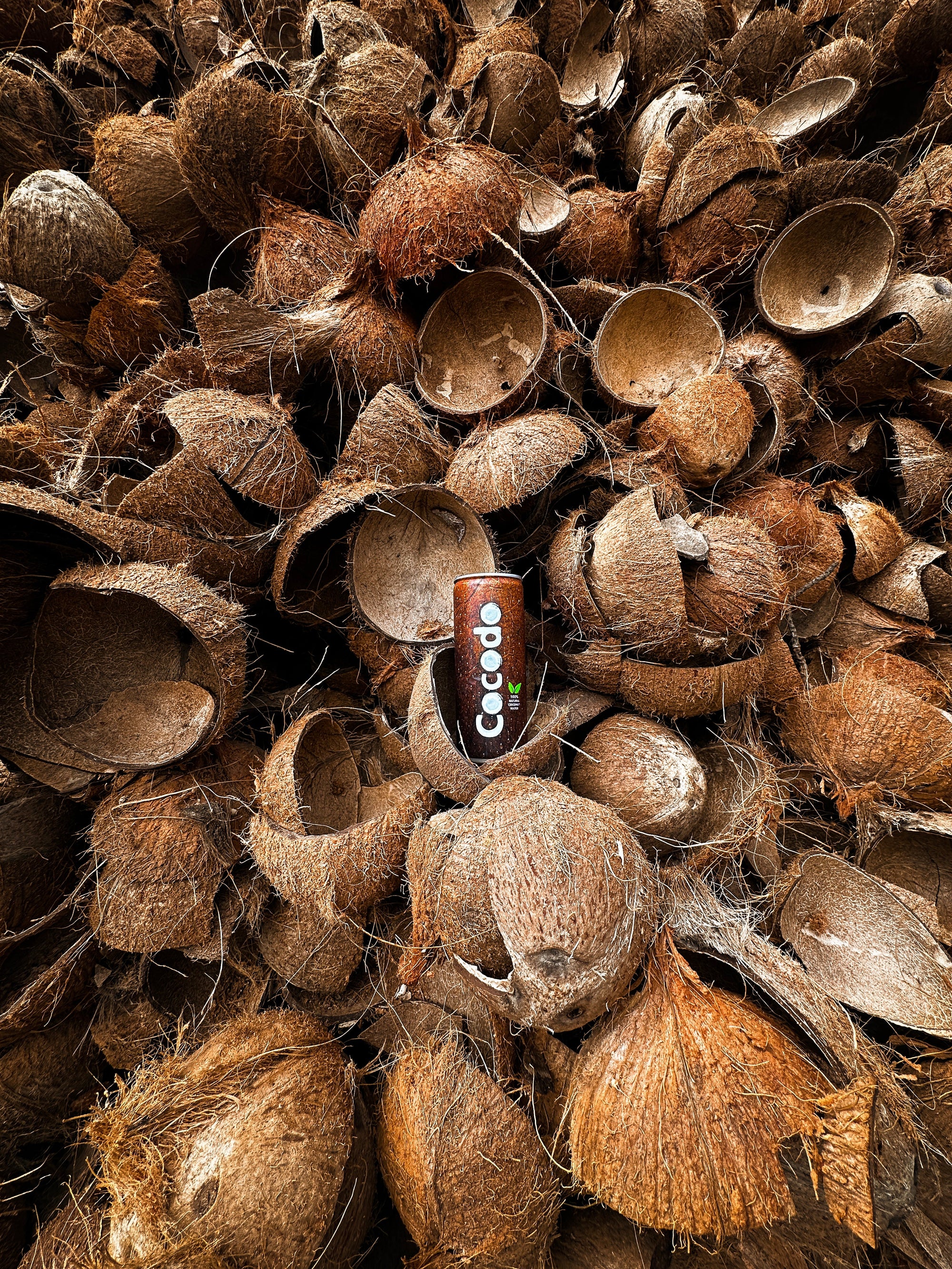 Kokoswasser statt Softdrinks – natürlich erfrischen mit Cocodo