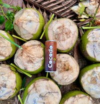 Cocodo - 100% Kokoswasser Ansicht 4